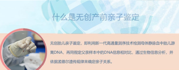 石家庄怀孕期间如何确定宝宝是谁的,石家庄产前亲子鉴定大概价格 石家庄怀孕期间如何确定宝宝是谁的,石家庄产前亲子鉴定大概价格